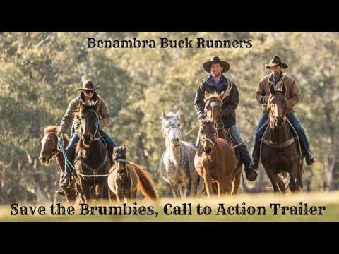 Save the Brumbies Documentary Pitch Film