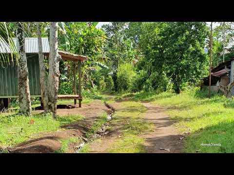 Nukufero, Russell Islands Solomon 🇸🇧- Avariki Family