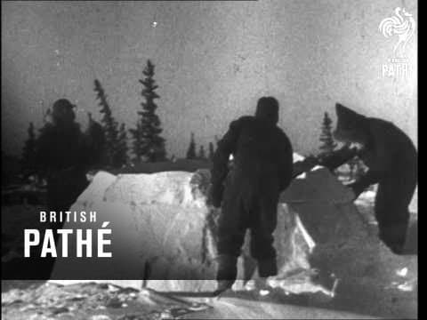 Expedition Into The Arctic (1946)