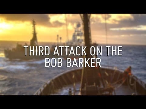 Media Reel - Third Attack on Bob Barker