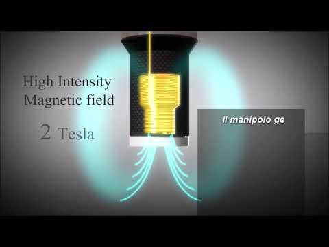 High-intensity magnetic fields in physiotherapy