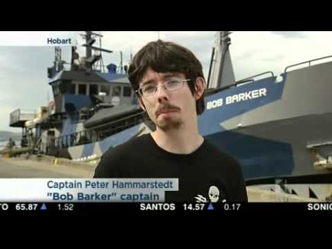 Sea Shepherd celebrates anti-whaling victory