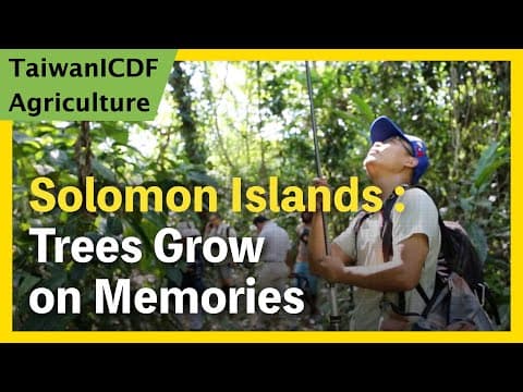 Solomon Islands：Trees Grow on Memories