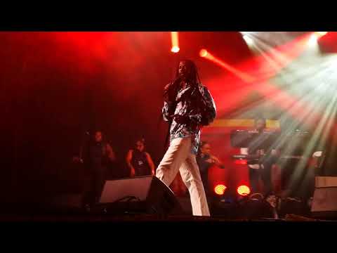 BUJU BANTON DANCEHALL MIX - Reggae Geel 2019, Belgium
