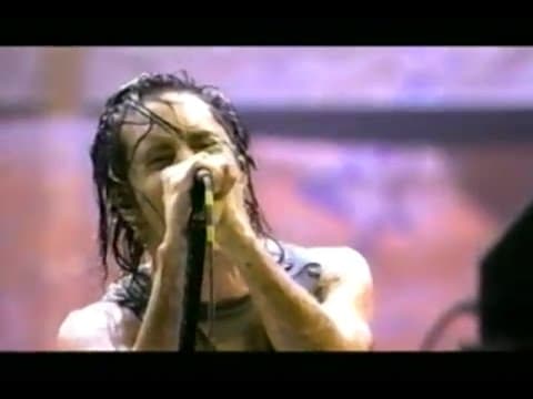 Nine Inch Nails: Suck, Woodstock '94