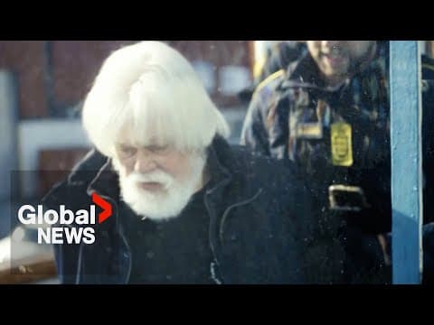 Anti-whaling activist Paul Watson detained in Greenland at Japan's request