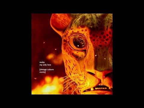 Moby - My Only Love (Vintage Culture Remix) | Official Audio