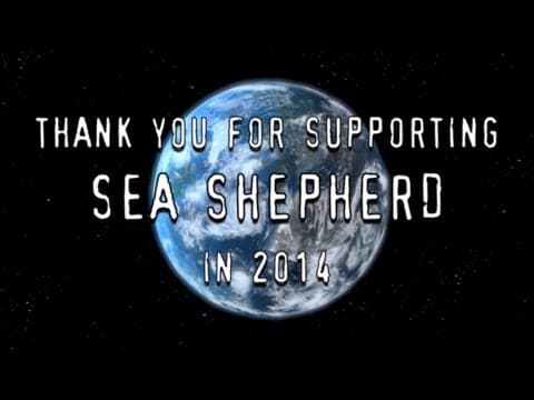 Together we have made a difference for the Oceans