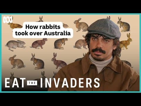 Australia's rabbit plagues