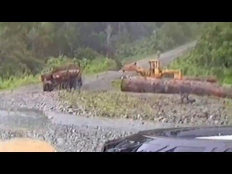 Logging Guadalcanal 1993