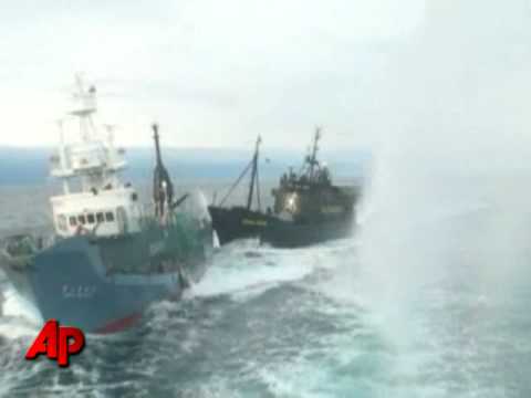 Raw Video: Ships Collide in Whaling Clash
