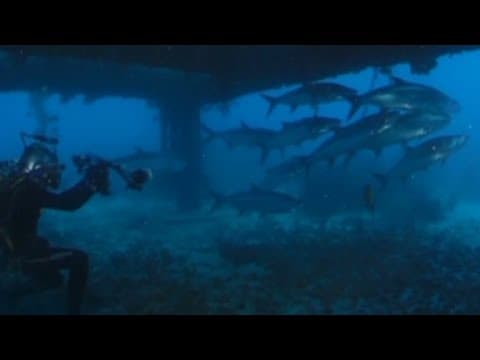 He lived 63 feet underwater for 31 days
