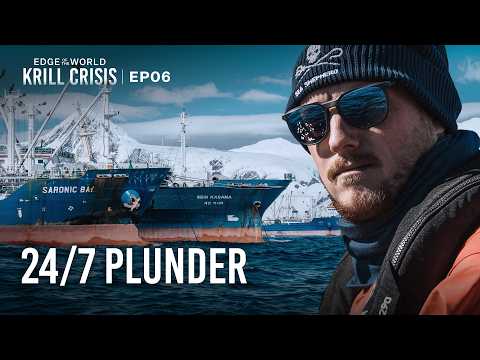 The Fleet extracting the foundation of Antarctica: Krill | Edge of the World: Krill Crisis | EP6