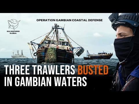 Three Trawlers Busted! Sea Shepherd and The Gambia Renew Joint Fight Against Illegal Fishing