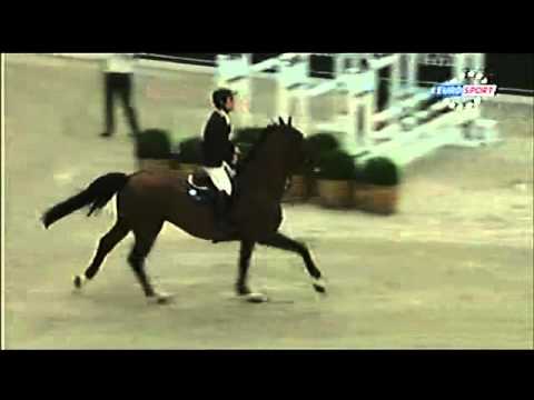 Grand Palais Paris CSI 5* 17/04/2011 Grand Prix Hermes Jumping