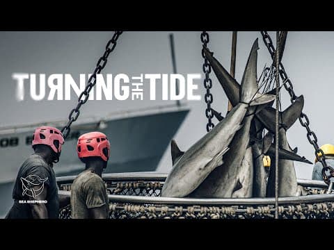 TURNING THE TIDE