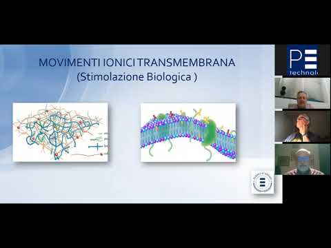 PERISO Academy - Webinar diamagnetoterapia nel dolore lombare