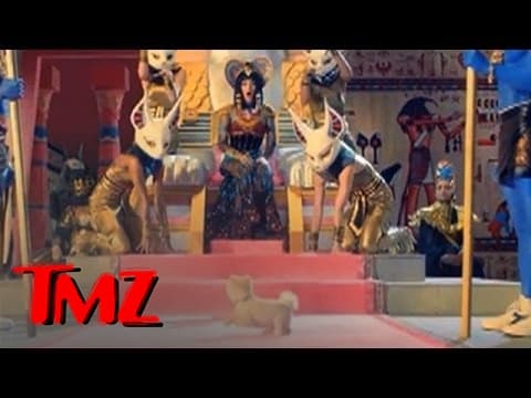 Katy Perry 'Dark Horse' - Jiff The Dog Steals The Show