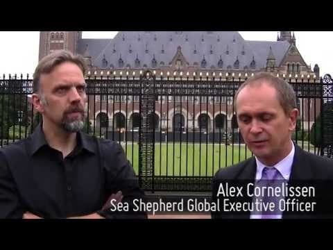 International Court of Justice Update