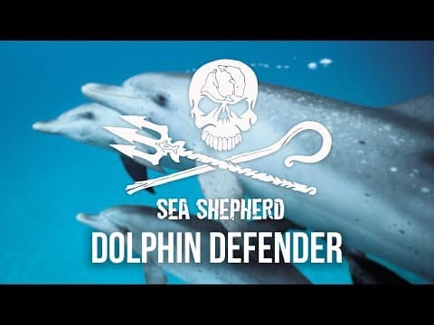 Become a Part-Time Dolphin Defender