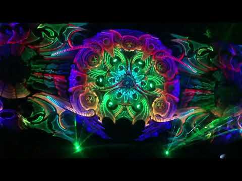 Hive visions cut from the dancefloor