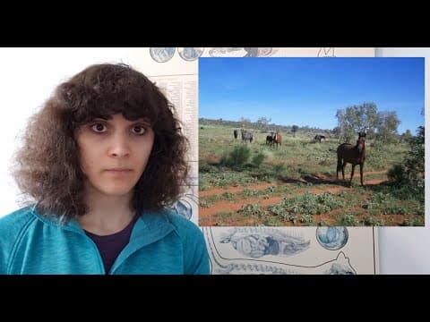 Horses Down Under: Australian Brumbies, Ecology, and Settler Colonialism