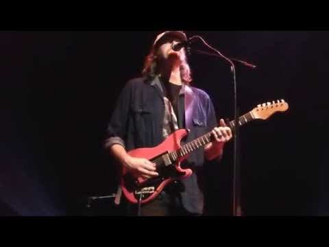 Daniel Norgren - Why May I Not Go Out and Climb The Trees?