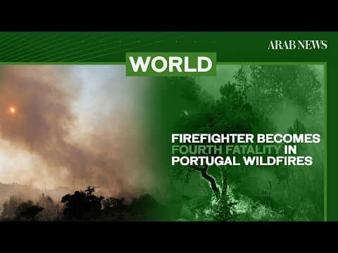 The 2024 Portugal wildfires