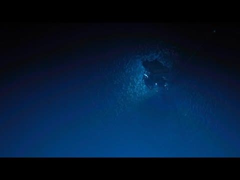 Endless Pink Coral Forest in Papahānaumokuākea | Nautilus Live