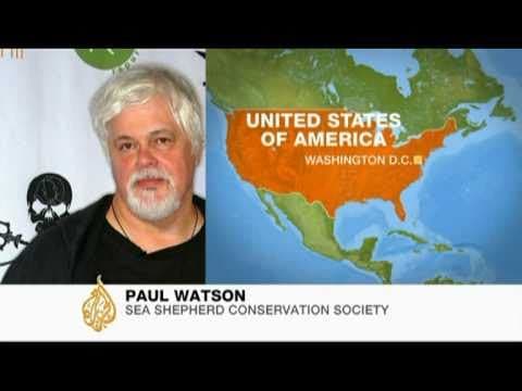 Anti-whaling activists' war of words