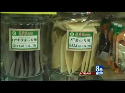 CBS News Story on Shark Finning ft. Sea Shepherd Director, Kim McCoy