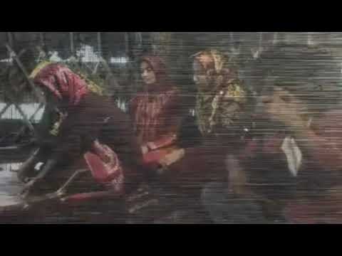 Persian Rugs: Weaving in Turkmen