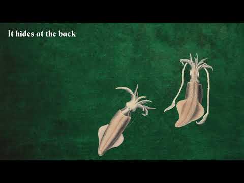 Hydrogen Sea - Already (Lyric Video)