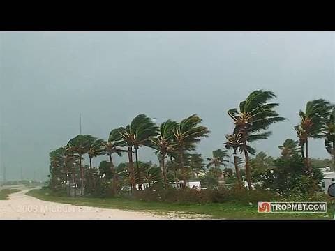 Tropical Storm Fay