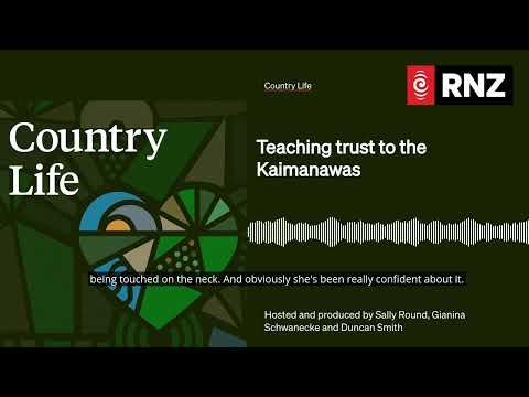 Teaching trust to the Kaimanawas | Country Life