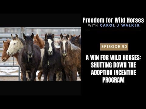 A Win for Wild Horses: Shutting Down the Adoption Incentive Program