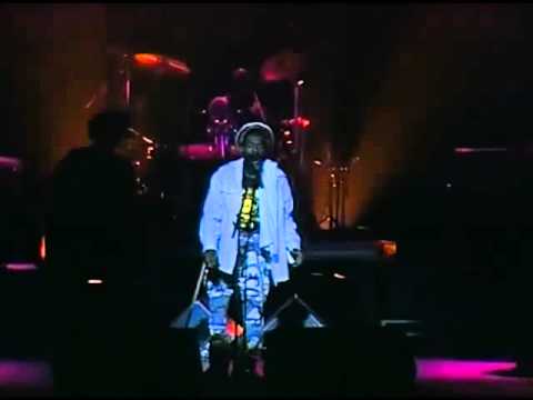 Israel Vibration -  New Wave (Live Au Zenith - 1995)