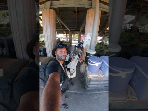 Meet Juiceman of Gizo selling lemon juice at Gizo market Western Province Solomon Islands