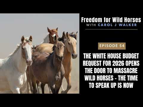 54. The White House Budget Request for 2026 Opens the Door to Massacre Wild Horses - the Time to...