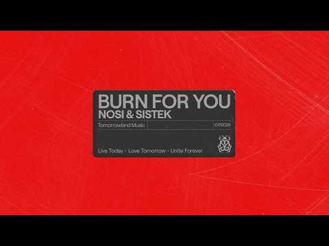 Nosi & Sistek - Burn For You (Official Audio)
