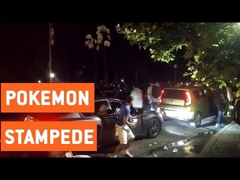 Central Park stampede — second angle
