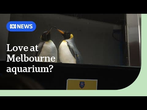 Pesto Meets Pudding at Melbourne Aquarium
