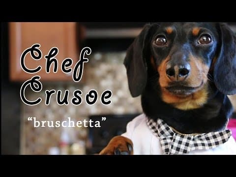 Chef Crusoe the Dachshund Meets Gino D'Acampo - 'Bruschetta'