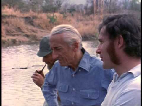 The Undersea World of Jacques Cousteau - Hippo