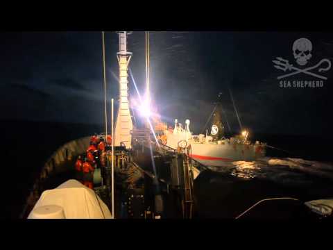 The Bob Barker endures a dangerous night attack by the Japanese whaling fleet