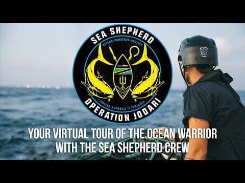 Virtual Tour of the Ocean Warrior: Meet the Sea Shepherd Crew