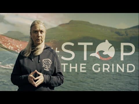 Progress Update: On the Ground Against the Faroese Grind