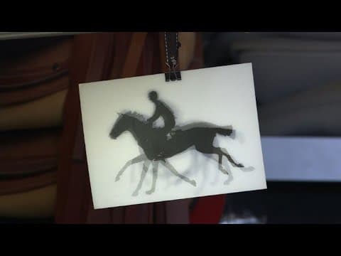 Show jumping: behind the scenes at the Hermes saddlery