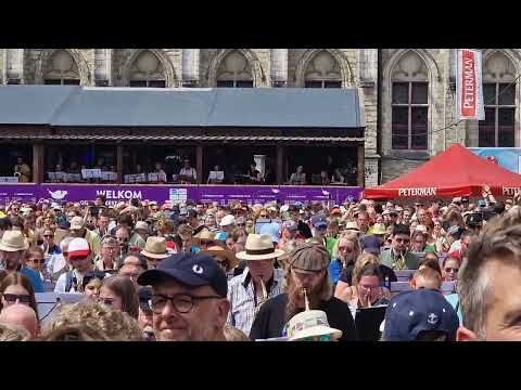 750 saxen in Gent  Gentse feesten 2024