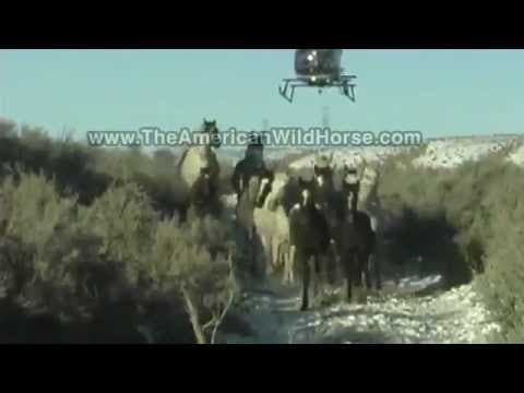 The Remaining Wild Horses and Renegades